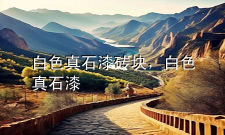 白色真石漆磚塊<div   id=