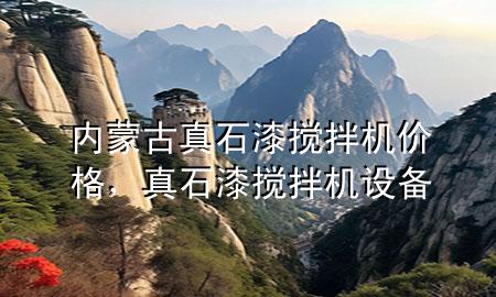 內(nèi)蒙古真石漆攪拌機價格，真石漆攪拌機設(shè)備