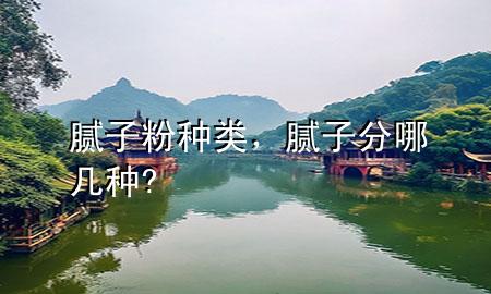 膩?zhàn)臃?種類(lèi)，膩?zhàn)臃帜膸追N?