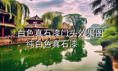 白色真石漆門頭效果圖<div   id=