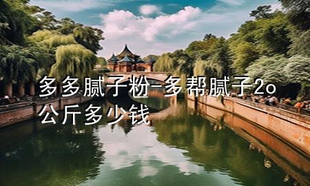 多多膩子粉-多幫膩子2o公斤多少錢
