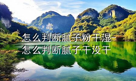 怎么判斷膩子粉干濕-怎么判斷膩子干沒干