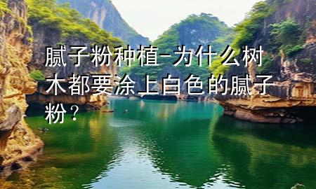 膩子粉種植-為什么樹木都要涂上白色的膩子粉？