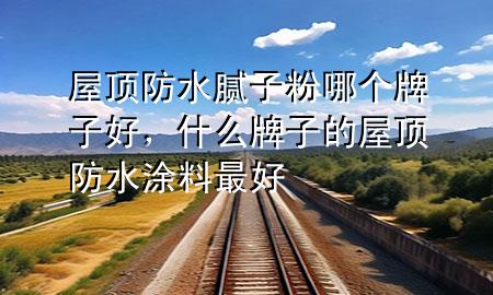 屋頂防水膩?zhàn)臃勰膫€牌子好<div   id=