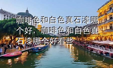 咖啡色和白色真石漆哪個(gè)好，咖啡色和白色真石漆哪個(gè)好看些