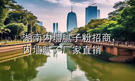 湖南內(nèi)墻膩子粉招商<div   id=