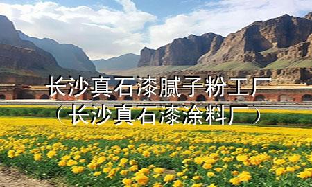 長沙真石漆膩?zhàn)臃酃S（長沙真石漆涂料廠）