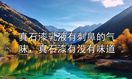 真石漆乳液有刺鼻的氣味<div   id=