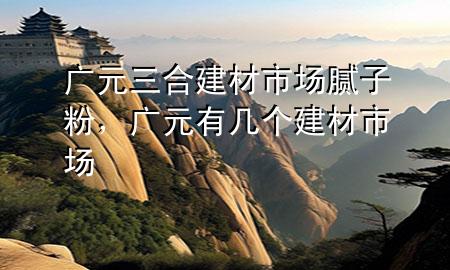廣元三合建材市場(chǎng)膩?zhàn)臃?div   id=