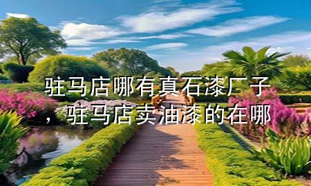 駐馬店哪有真石漆廠子<div   id=