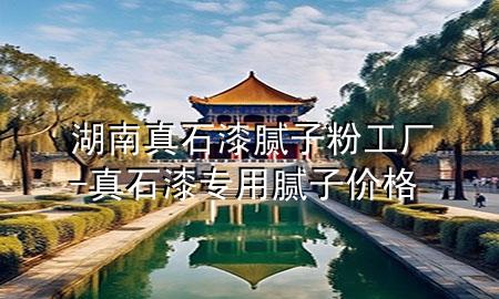 湖南真石漆膩?zhàn)臃酃S-真石漆專用膩?zhàn)觾r格