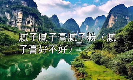 膩子 膩子膏 膩子粉（膩子膏好不好）
