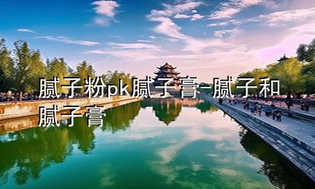 膩子粉pk膩子膏-膩子和膩子膏