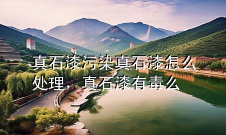 真石漆污染真石漆怎么處理，真石漆有毒么