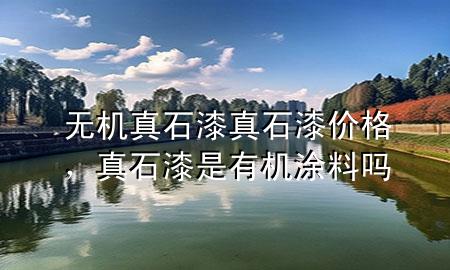 無機真石漆真石漆價格<div   id=