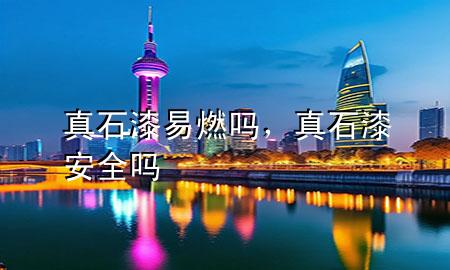 真石漆易燃嗎<div   id=