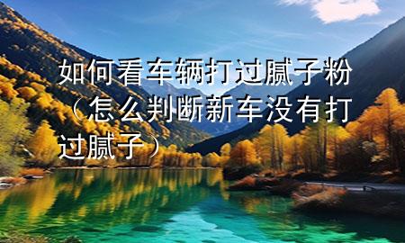 如何看車輛打過(guò)膩?zhàn)臃郏ㄔ趺磁袛嘈萝嚊](méi)有打過(guò)膩?zhàn)樱?>
             </div>
             <!--文章無(wú)圖的情況下插入一張圖片end-->
              
      <p>本篇文章給大家談?wù)勅绾慰窜囕v打過(guò)膩?zhàn)臃?div   id=