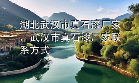 湖北武漢市真石漆廠家<div   id=