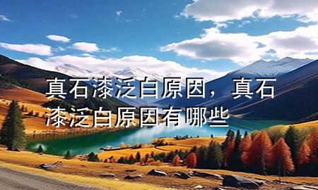 真石漆泛白原因<div   id=