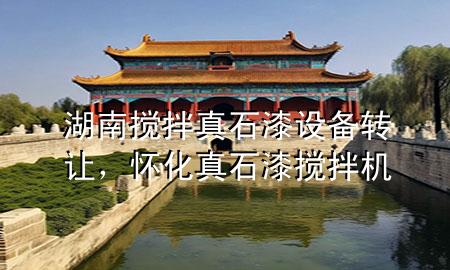 湖南攪拌真石漆設備轉讓<div   id=