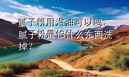 膩子粉用汽油可以嗎，膩子粉最怕什么東西洗掉<div   id=