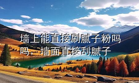 墻上能直接刷膩子粉嗎嗎，墻面直接刮膩子