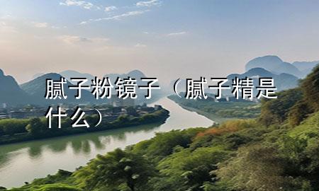 膩子粉鏡子（膩子精是什么）
