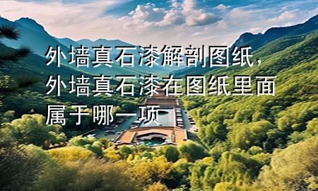 外墻真石漆解剖圖紙<div id=