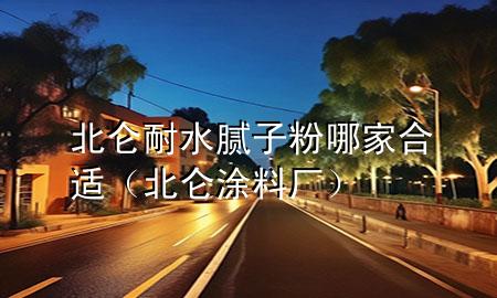 北侖耐水膩?zhàn)臃勰募液线m（北侖涂料廠）