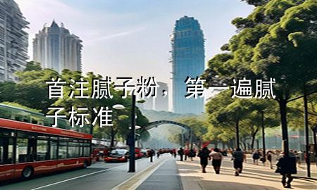 首注膩子粉<div   id=