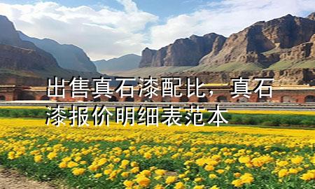 出售真石漆配比，真石漆報價明細(xì)表范本