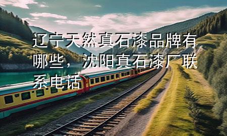 遼寧天然真石漆品牌有哪些<div   id=