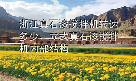 浙江真石漆攪拌機(jī)轉(zhuǎn)速多少，立式真石漆攪拌機(jī)內(nèi)部結(jié)構(gòu)