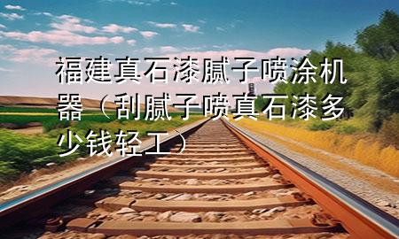 福建真石漆膩?zhàn)訃娡繖C(jī)器（刮膩?zhàn)訃娬媸岫嗌馘X輕工）