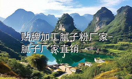 貼牌加工膩?zhàn)臃蹚S(chǎng)家-膩?zhàn)訌S(chǎng)家直銷(xiāo)
