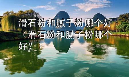 滑石粉和膩?zhàn)臃勰膫€好（滑石粉和膩?zhàn)臃勰膫€好？）
