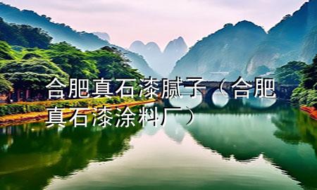 合肥 真石漆膩子（合肥真石漆涂料廠）