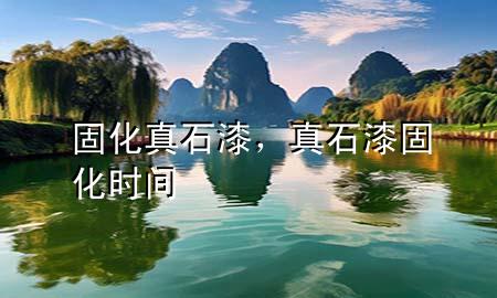 固化真石漆<div   id=