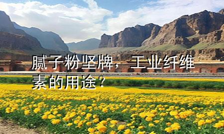 膩子粉 堅牌<div   id=