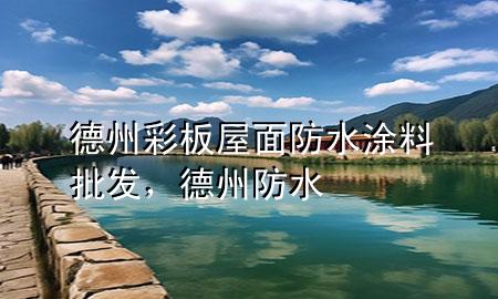 德州彩板屋面防水涂料批發(fā)，德州 防水