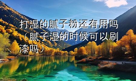 打濕的膩?zhàn)臃圻€有用嗎（膩?zhàn)訚竦臅r候可以刷漆嗎）