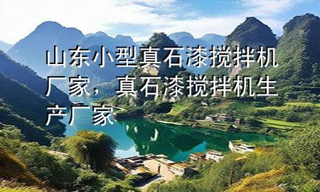 山東小型真石漆攪拌機廠家<div   id=