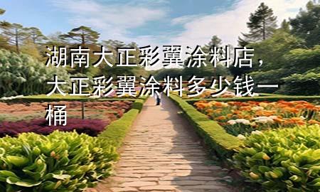 湖南大正彩翼涂料店，大正彩翼涂料多少錢(qián)一桶