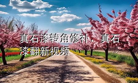 真石漆轉(zhuǎn)角修補(bǔ)<div   id=