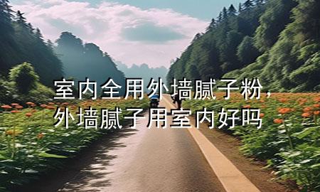 室內(nèi)全用外墻膩子粉<div   id=