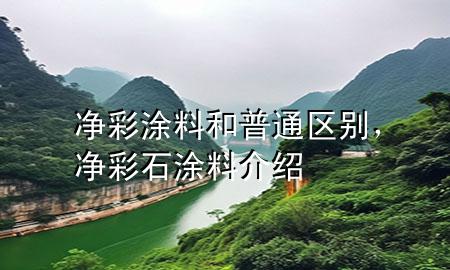 凈彩涂料和普通區(qū)別<div   id=