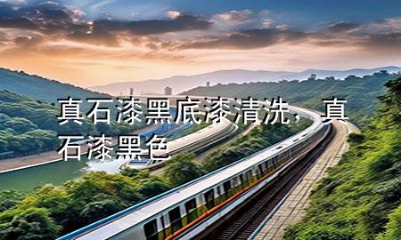 真石漆黑底漆清洗<div   id=