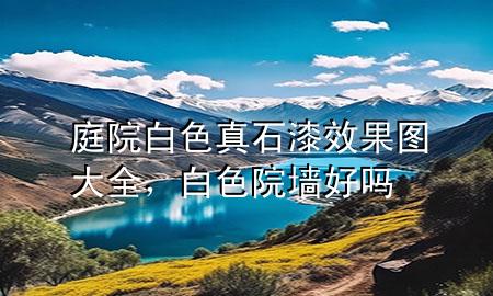 庭院白色真石漆效果圖大全<div   id=