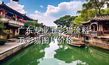 廣東專業(yè)五彩貓涂料-五彩貓圖片價(jià)格