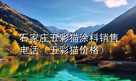石家莊五彩貓涂料銷(xiāo)售電話(huà)（五彩貓價(jià)格）